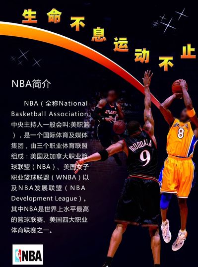 斯这份